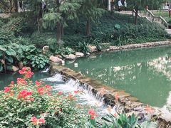 -光明小镇欢乐田园