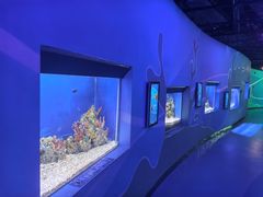 -广州海洋馆