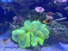 -多彩贵州城极地海洋世界