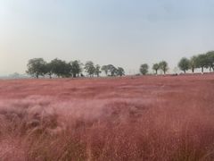 -汉长安城未央宫国家考古遗址公园