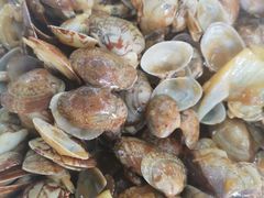 -四海蒸鲜蒸汽海鲜自助(北戴河店)