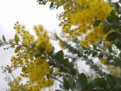 -桂溪生态公园