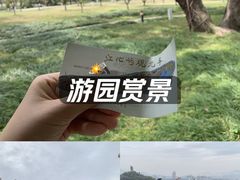 -江心屿景区