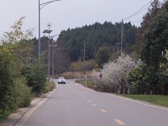 -仙海旅游度假区