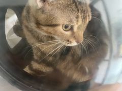 -荔康动物医院(康王北路店)