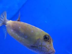 -多彩贵州城极地海洋世界