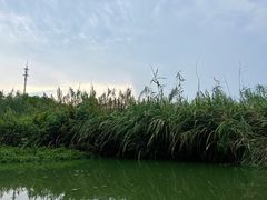 -同里国家湿地公园