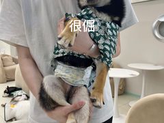 -怪兽屋·羊驼·猫咖·狗咖(俊华广场店)