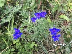 -白草畔自然风景区