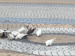 -优托邦(长兴路店)