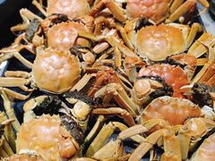 河蟹-乔哥铭洋海鲜自助(皇城恒隆广场店)