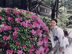 -东京浅草和服体验江户和装工房雅(浅草本店)