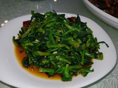 炝拌万年青-观澜湖底捞(观澜墅店)