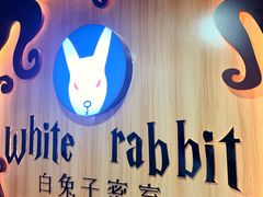 -白兔子密室(长寿路店)