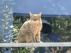 -青藏高原野生动物园
