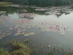 -白沙门生态公园