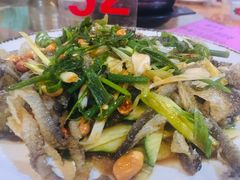 姜葱凉拌鱼皮-禄源公·老莞诚饭店