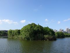 -新江湾城公园