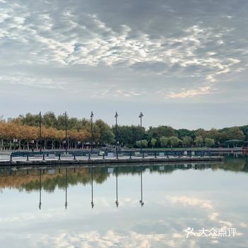 秋游世纪公园（10️篇）