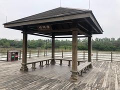 -大湾区中央湿地公园