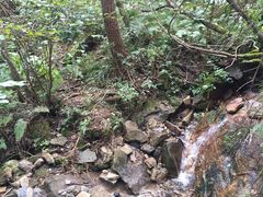 -罗田天堂寨风景区