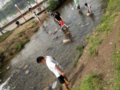 -长白岛森林公园