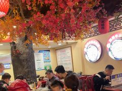 -金杨拉面王小吃面馆·牛三宝面·红烧牛肉粉