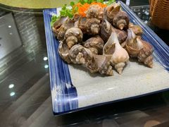 白灼海螺-映像威海·海鲜味道(市区店)