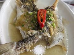 -八仔大富楼·河鲜(西江店)