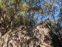 -梧桐山风景名胜区