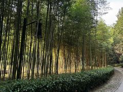 -黄公望隐居地