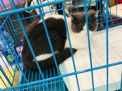 -家饰佳(宜山路店)