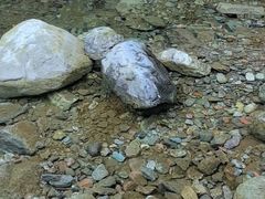 -西岭雪山大飞水景区