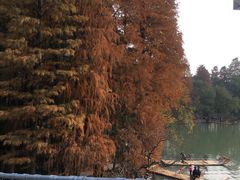 -东湖落雁景区