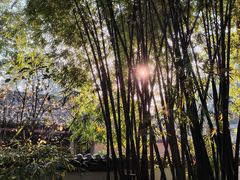 -成都杜甫草堂博物馆