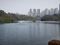 -重庆彩云湖湿地公园