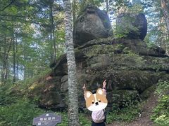 -汤旺河林海奇石景区