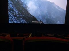 -万达影城(闵行颛桥万达广场杜比影院店)