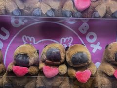 -春晖园度假酒店温泉