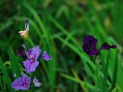 -苏州河梦清园环保主题公园