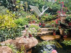 -济南植物园