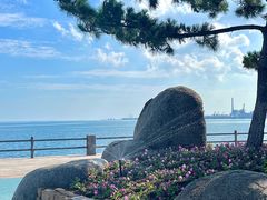 -悦海公园