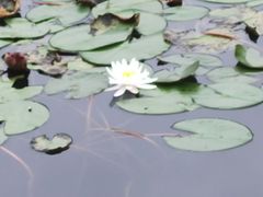 -白鹭湾湿地公园