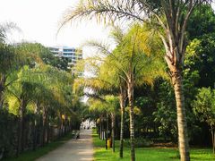 -北海市海滨公园