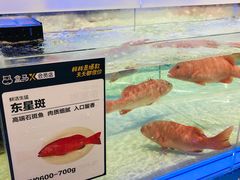 -盒马X会员店(上海森兰商都店)