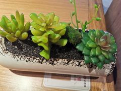-必胜客(桐梓坡店)