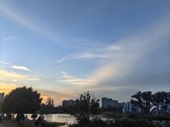 -上海植物园-4号门售票处