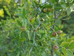 -樱桃山旅游景区