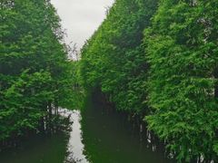 -厦门园林博览苑