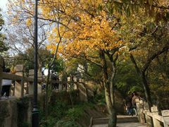 -灵岩山风景区